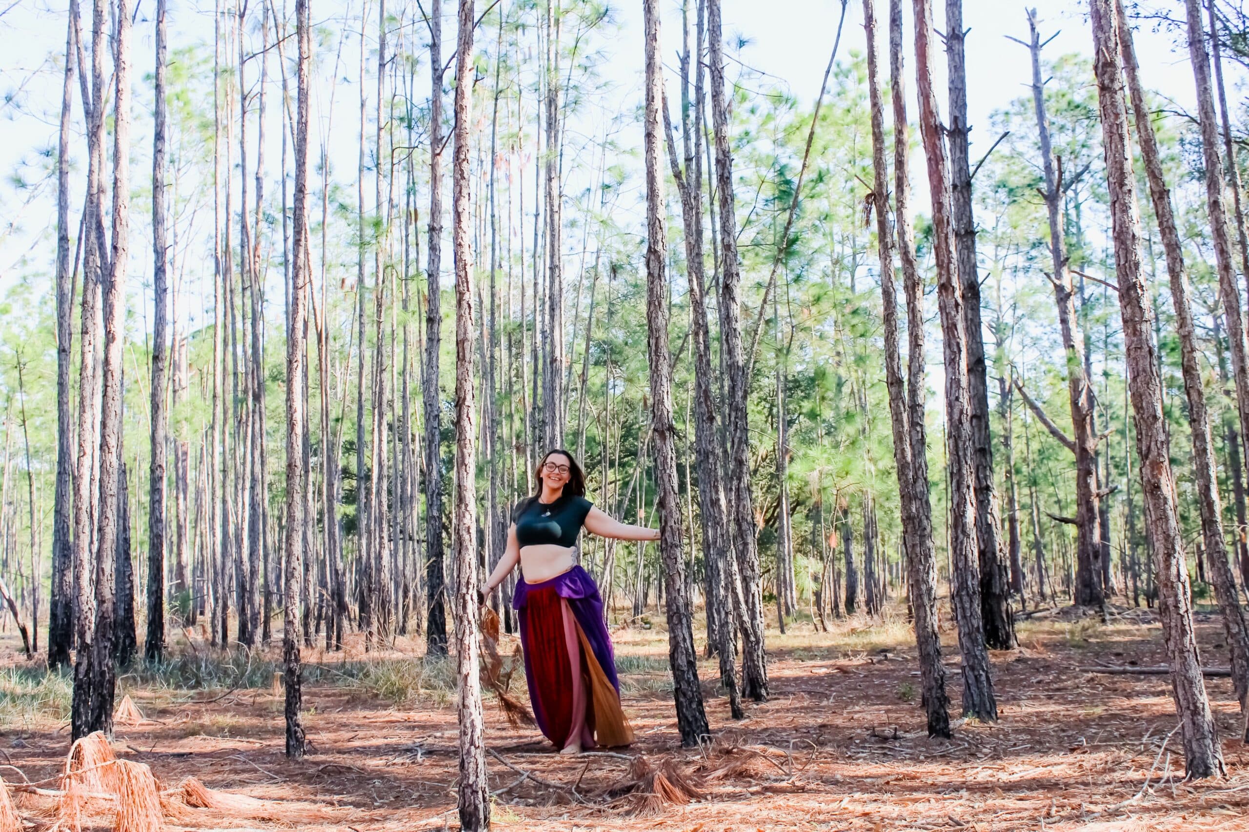 Sunlight through a Central Florida pine forest