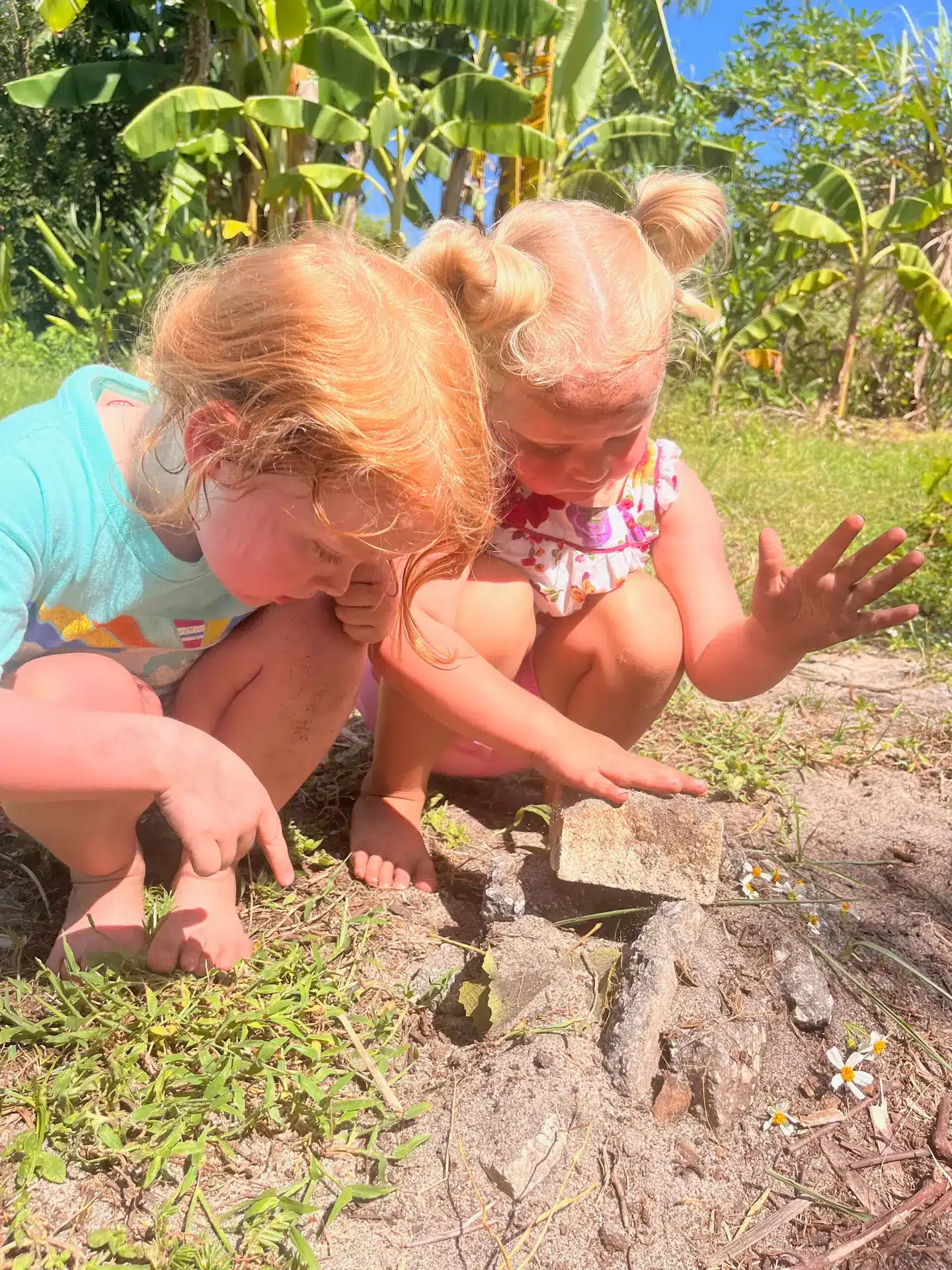 Children exploring the outdoors together at an EcoRoots program